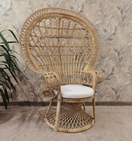 WhatsApp Image 2023-06-29 at 15.57.05