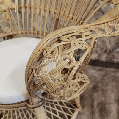 Кресло RJG-J-974 (Ротанг №4, ткань KSVW)