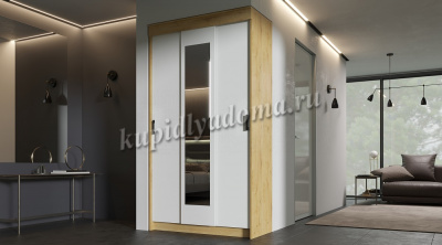 Шкаф-купе Эко (Дуб Вотан/Белый)