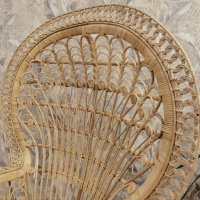 WhatsApp Image 2023-06-29 at 15.57.07