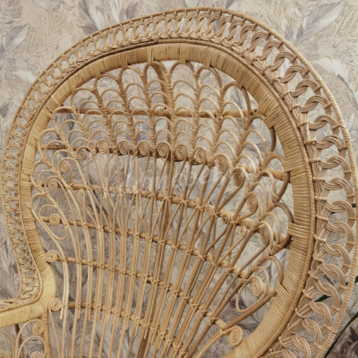 Кресло RJG-J-974 (Ротанг №4, ткань KSVW)