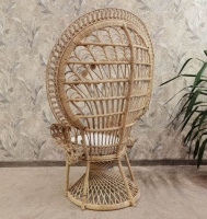 WhatsApp Image 2023-06-29 at 15.57.08