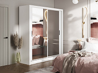 Шкаф-купе Дрим-2 2000 (Белый)